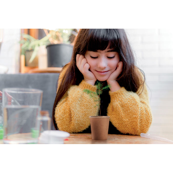 GROWTREE™ - Bild 7