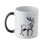 FESTIMUG